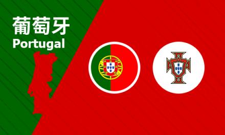 布萊恩·費(fèi)爾南德斯：我想留在曼聯(lián)，但目前專注于足總杯和歐洲杯