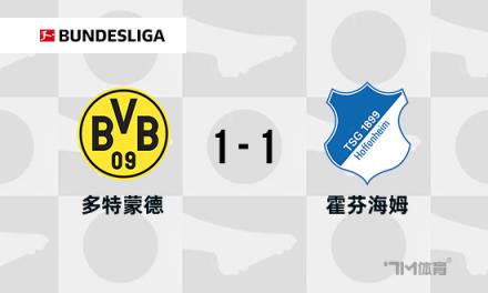 德甲：多特蒙德1-1霍芬海姆，雷納破門，拉爾森絕平