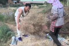 矣進(jìn)宏干農(nóng)活：堅(jiān)持到底，只為當(dāng)初的選擇