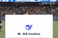 DeepSeek預(yù)測中澳之戰(zhàn)：可能平局，大概率0-2或1-3