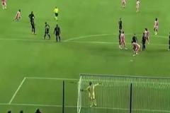 媒體不會(huì)向您展示這個(gè)鏡頭！邁阿密這球被看臺(tái)拍到……