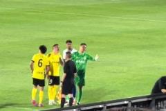 笑死！這位網(wǎng)友真是王大雷的王牌翻譯官