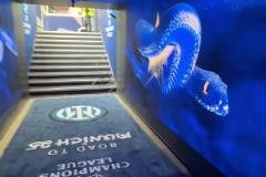 蛇精靈元素拉滿，跟著鏡頭一起云穿越梅阿查球員通道