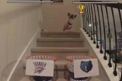 這還有可能嗎？網(wǎng)紅柯基預(yù)測(cè)雷霆灰熊首輪賽果，雷霆搶七晉級(jí)！