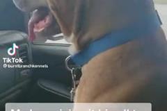 美媒打趣：這是主場G1輸給步行者后，騎士現在的內心活動