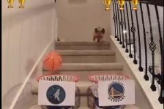 第一場對(duì)了！網(wǎng)紅柯基預(yù)測勇狼大比分：勇贏G1 但搶七被淘汰