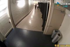 看著非常嚴(yán)重啊！塔圖姆受傷后，是坐著輪椅離開的！