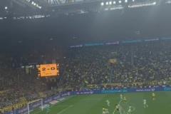 黃黑海洋！球迷視角看此前阿德耶米對陣?yán)潜?，替補完成梅開二度！