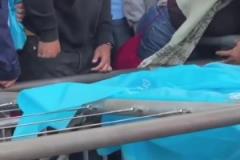 洛里這反應(yīng)太慢了！羅伊斯在洛杉磯德比中一腳任意球絕平